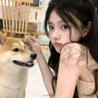 萌犬流浪记